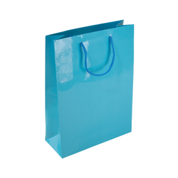 Medium Sky Blue Paper Bag